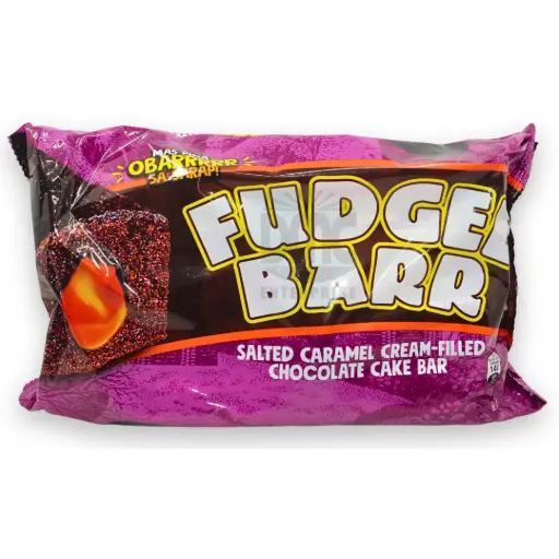 Rebisco Fudgee Barr Salted Caramel (38g x 10 x 10)